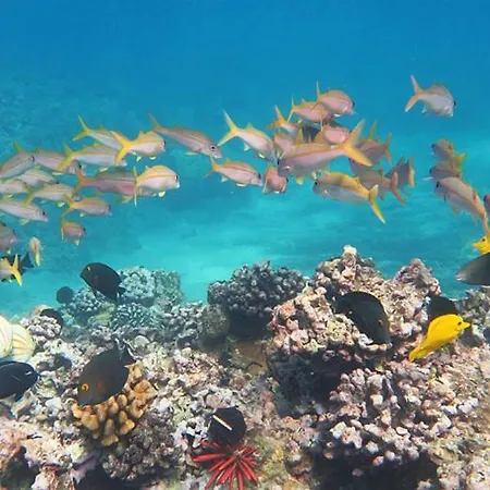 Appartamento 1 Bedroom With A Magnificent Sea View