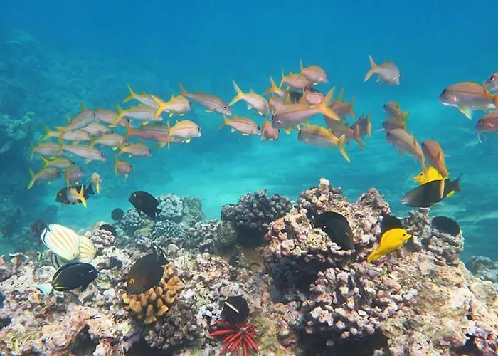 דירה 1 Bedroom With A Magnificent Sea View